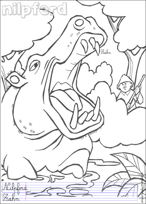 coloriage hippopotame 1